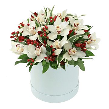 Orchideen in einer Box