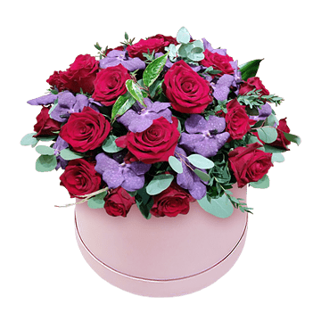Box mit Orchideen und Rosen