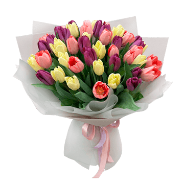 Bunte Tulpen