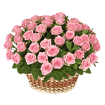 Korb mit den rosa Rosen