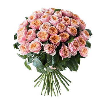 Blumenstrauß aus rosigen Rosen