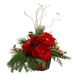 Weihnachtsüberraschung