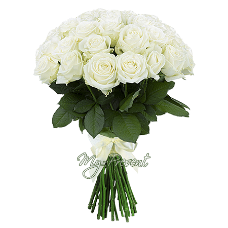 Blumenstrauß aus den weißen Rosen (80 cm.)