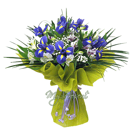 Blumenstrauß aus Irisen und Alstroemerien