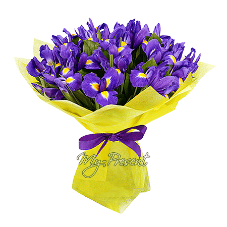 Blumenstrauß aus Irisen