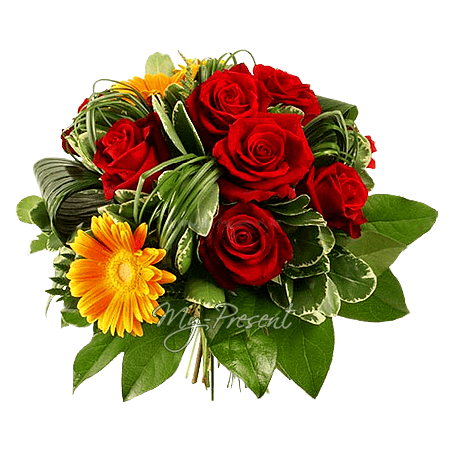 Blumenstrauß aus Rosen und Germinis geschmückt mit  Grünpflanzen