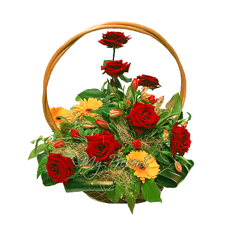 Korb mit Rosen, Germinis geschmückt mit Grünpflanzen