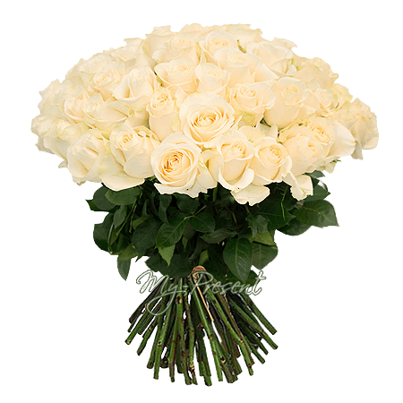 Blumenstrauß aus weißen Rosen (50 cm.)