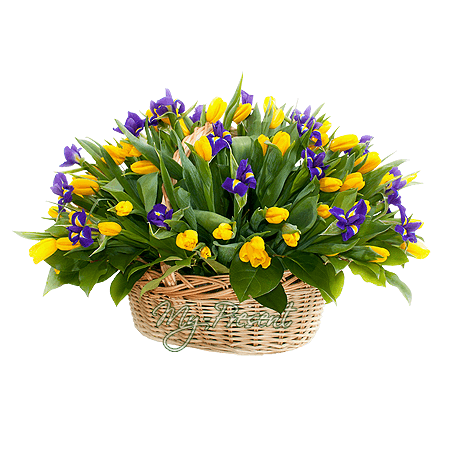 Korb mit Tulpen und Irisen