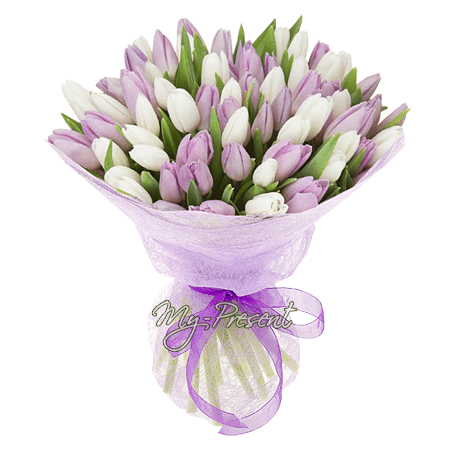 Blumenstrauß aus lila und weißen Tulpen