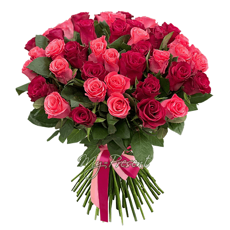 Blumenstrauß aus roten und rosa Rosen (50 cm.)