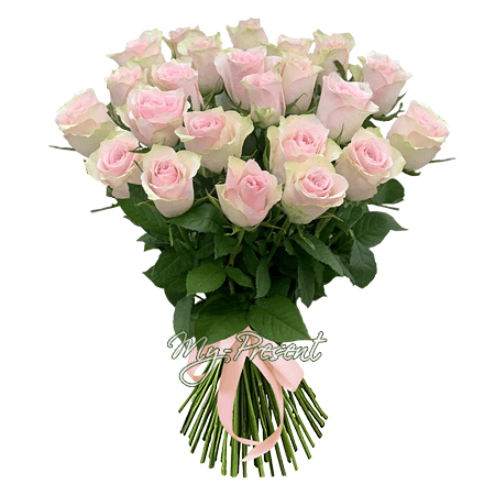 Blumenstrauß aus rosigen Rosen (60 cm.)