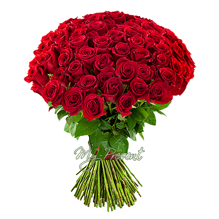 Blumenstrauß aus roten Rosen (80 cm.)