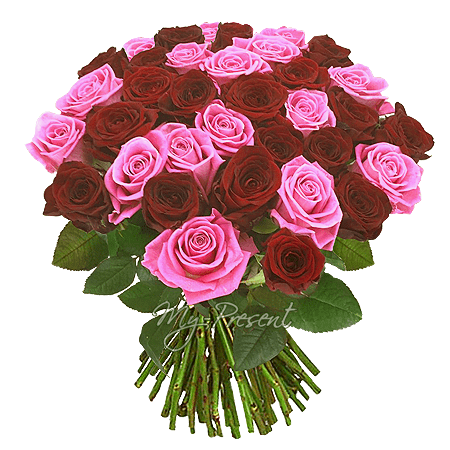 Blumenstrauß aus den roten und rosa Rosen (50 cm.)