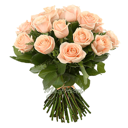 Blumenstrauß aus cremiger Rosen (50 cm.)